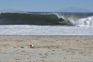 8CC41F39-8BBB-437A-96EC-7454F4CF6DE8_1_201_a