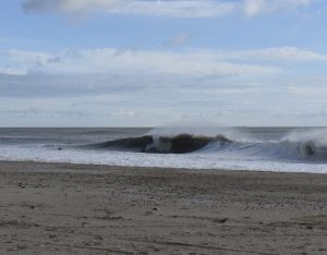 909529BD-E96E-44B8-A179-E4C66D561B54_1_105_c