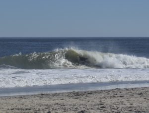 97D6D26F-CDC4-424C-9590-8928C03A4C16_1_201_a