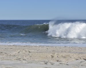 C4FBFBAD-1E92-4226-B242-F021472F2DC5_1_105_c