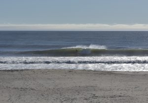 CC3EC3F1-1B50-49E3-AF8B-ABDEBD630C79_1_201_a