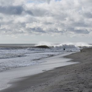 D55A1F11-0C29-40E3-922D-F475C22A86D1_1_201_a