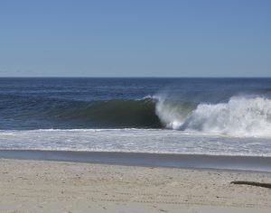 D623803D-CD57-4A8B-B013-9BF5A2AE8F82_1_105_c