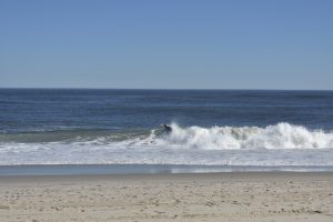 DDA30A16-DDD6-4432-9003-64AFB644C3AA_1_201_a