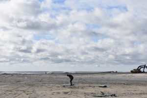 E118E122-2CCA-4125-8ABF-4C2FE8670D26_1_201_a