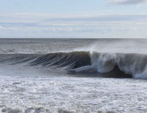 E8447606-6E6A-48BE-867C-3FFDC3EDC052_1_201_a