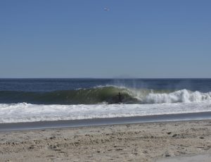 EA6601F6-A6B8-4CC8-B535-E8792548AEFD_1_105_c