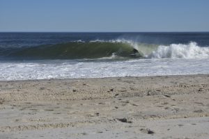 EB8B2D43-43B7-4B51-A096-8DAD9F910FC1_1_201_a