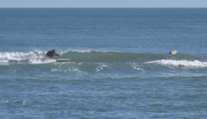 URN_OBX_2024_sitegallery - 1