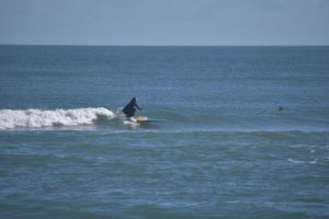 URN_OBX_2024_sitegallery - 21