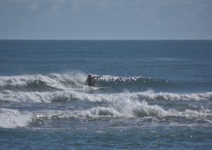 URN_OBX_2024_sitegallery - 26