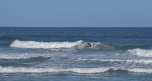 URN_OBX_2024_sitegallery - 57